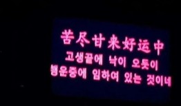 娱乐爆料文案励志,从娱乐爆料到励志传奇